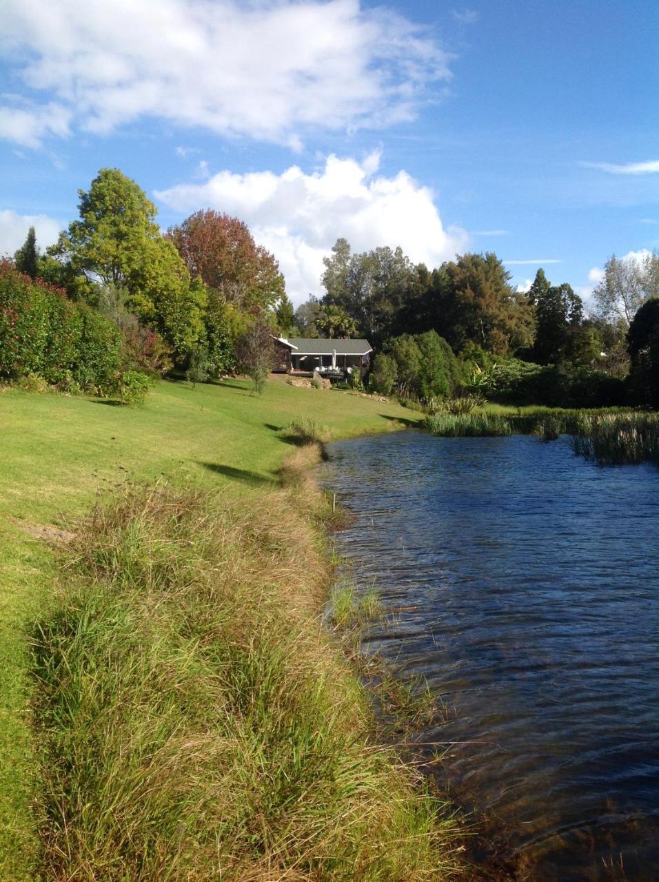 Lakehouse Studio Kerikeri Zewnętrze zdjęcie