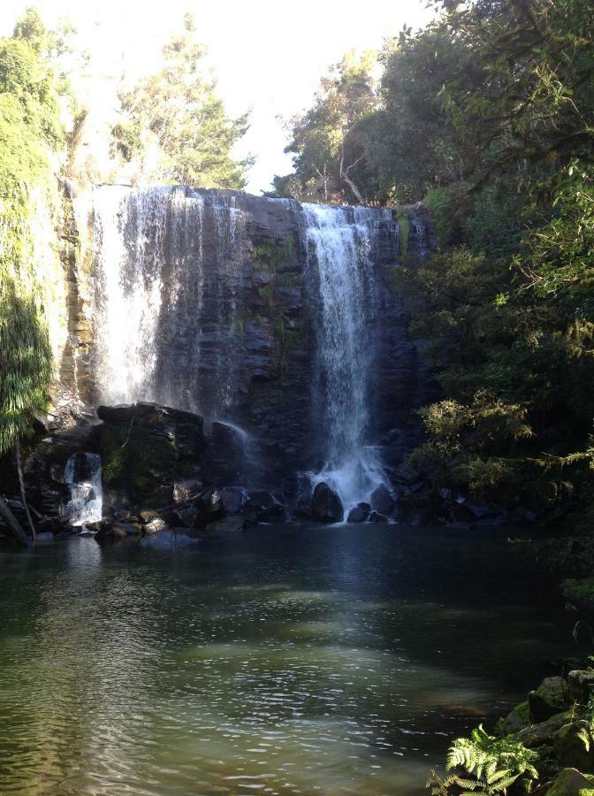 Lakehouse Studio Kerikeri Zewnętrze zdjęcie